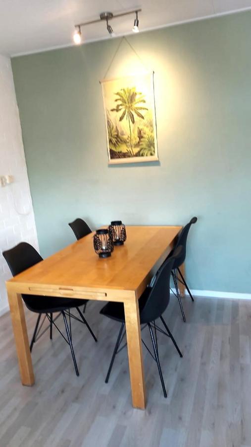 Plattedijk - Vakantiehuis 25-41 Lemmer Zewnętrze zdjęcie